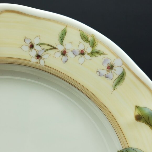 Noritake Homecraft Fruit Canyon Dinner Plates Fruit Pattern Rim Dinner Plates - Picture 6 of 6